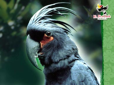 Taman Burung