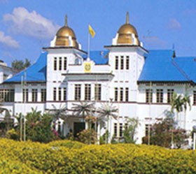 Arau