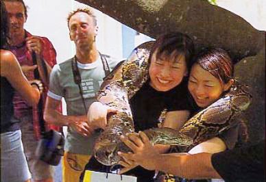 Rumah Ular dan Reptilia